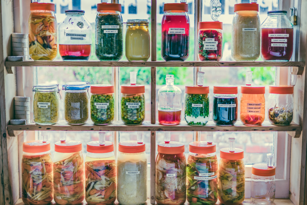 Ferment Wall Iain Pennington.png
