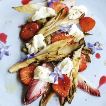 151_chicory